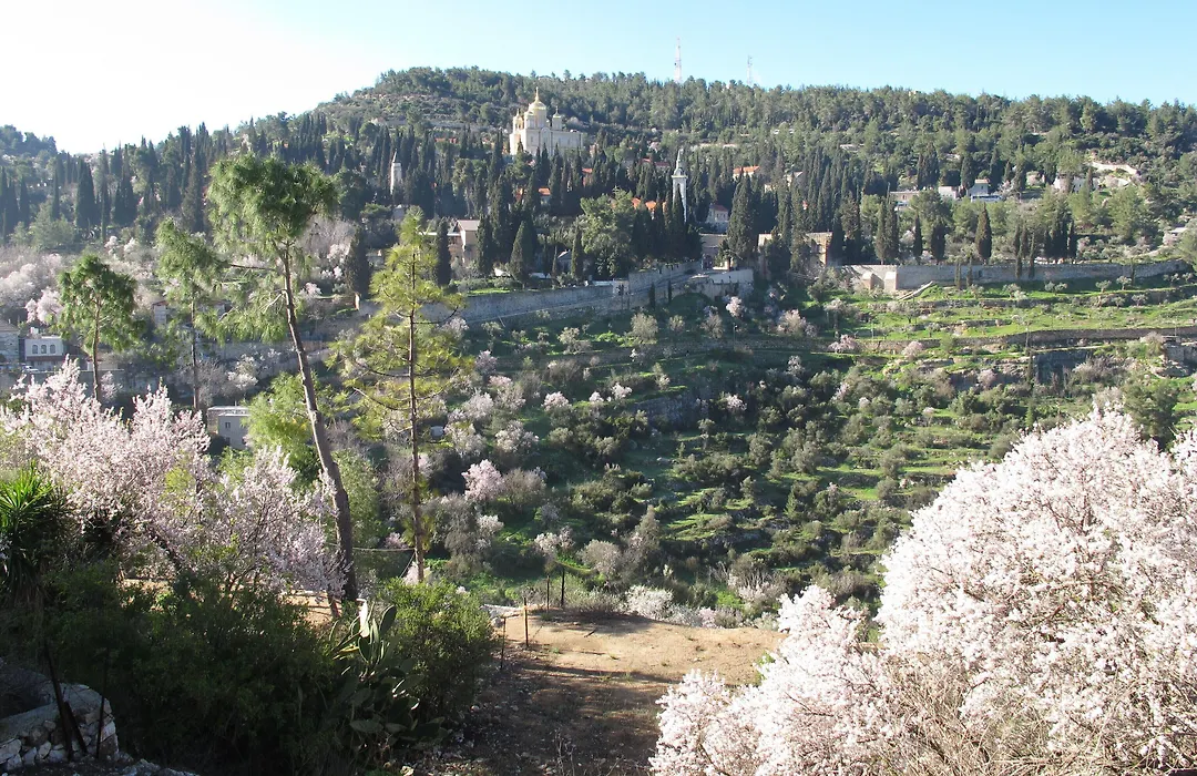 Khan Ein Karem Boutique Hotel-1